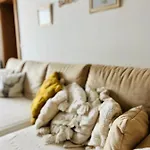 Sunny App